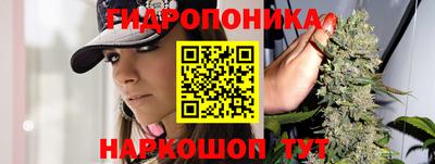 мдпв Ярославль
