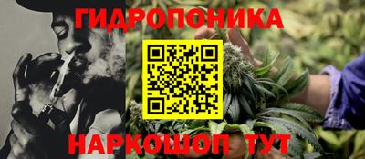 мдпв Ярославль