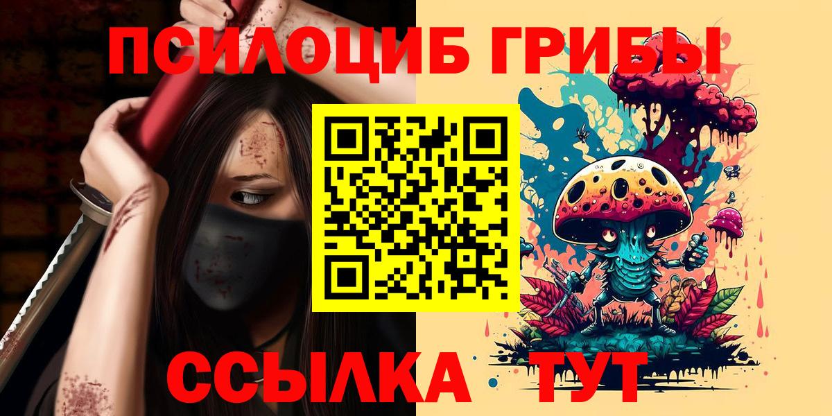 Торжок  Псилоцибиновые грибы MAGIC MUSHROOMS  Галлюциногенные грибы MAGIC MUSHROOMS  Вход с VPN 