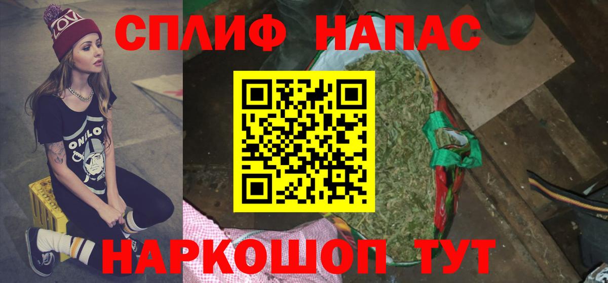 Бошки Шишки MAZAR Торжок